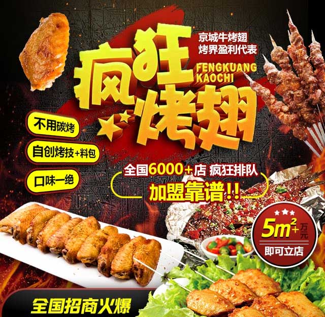 禄丰奥尔良烤翅